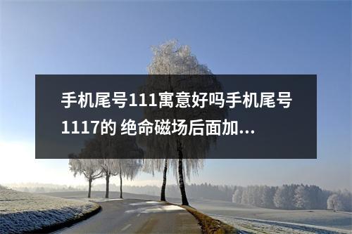 手机尾号111寓意好吗手机尾号1117的 绝命磁场后面加吉星磁场会怎样呢？