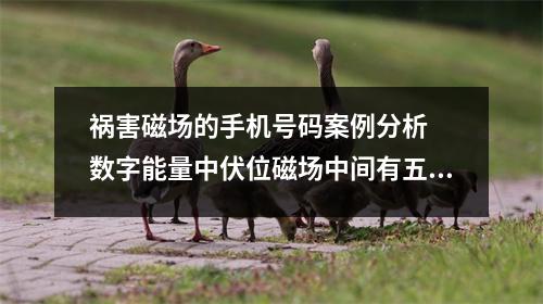 祸害磁场的手机号码案例分析  数字能量中伏位磁场中间有五的解析
